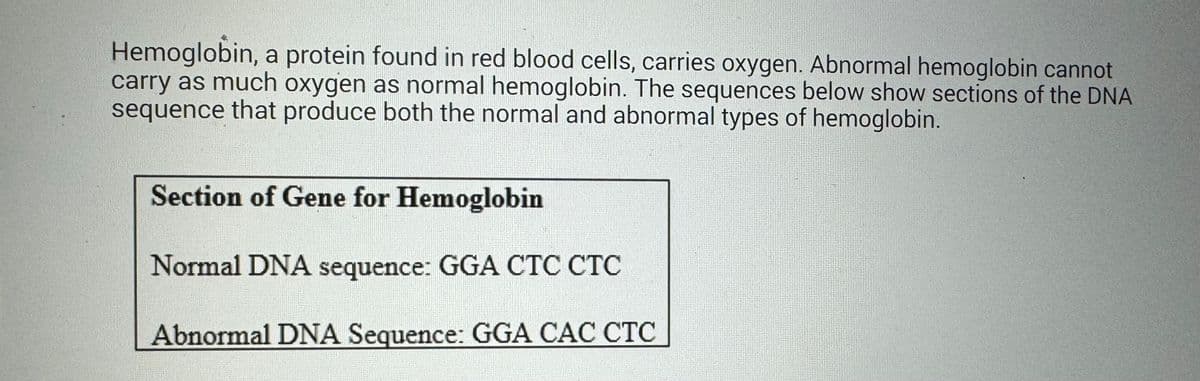 Hemoglobin, a protein found in red blood cells, carries oxygen. Abnormal hemoglobin cannot
carry as much oxygen as normal hemoglobin. The sequences below show sections of the DNA
sequence that produce both the normal and abnormal types of hemoglobin.
Section of Gene for Hemoglobin
Normal DNA sequence: GGA CTC CTC
Abnormal DNA Sequence: GGA CAC CTC