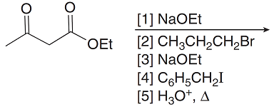 [1] NaOEt
OEt
[2] CH3CH,CH,Br
[3] NaOEt
[4] C6H;CH,I
[5] H3O*, A
