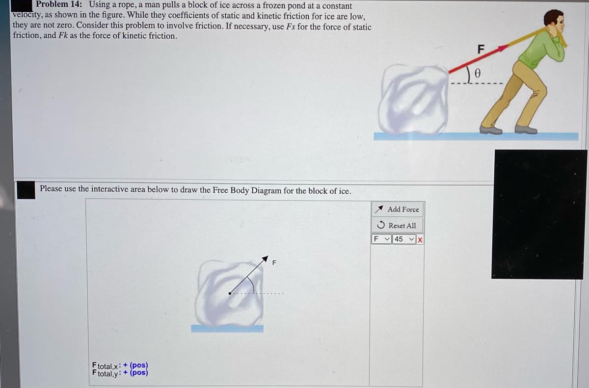 Problem 14: Using a rope, a man pulls a block of ice across a frozen pond at a constant
velocity, as shown in the figure. While they coefficients of static and kinetic friction for ice are low,
they are not zero. Consider this problem to involve friction. If necessary, use Fs for the force of static
friction, and Fk as the force of kinetic friction.
F.
Jo
Please use the interactive area below to draw the Free Body Diagram for the block of ice.
Add Force
O Reset All
F 45 X
F total,x: + (pos)
Ftotal,y: + (pos)
