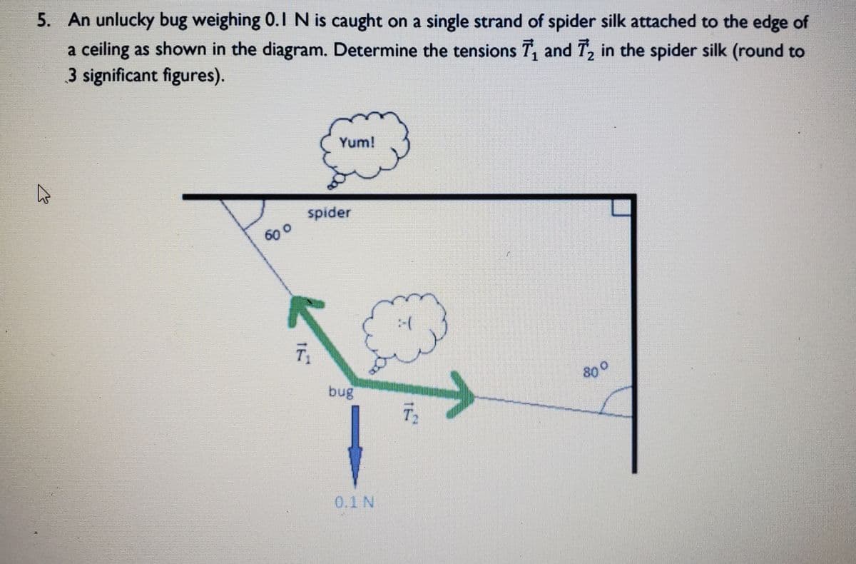 5. An unlucky bug weighing 0.1 N is caught on a single strand of spider silk attached to the edge of
a ceiling as shown in the diagram. Determine the tensions T, and T, in the spider silk (round to
3 significant figures).
Yum!
spider
60 0
T
bug
800
0.1 N
