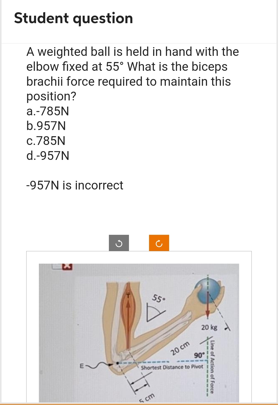 Student question
A weighted ball is held in hand with the
elbow fixed at 55° What is the biceps
brachii force required to maintain this
position?
a.-785N
b.957N
c.785N
d.-957N
-957N is incorrect
G
C
55°
5 cm
20 cm
20 kg
90°
Shortest Distance to Pivot i
I
Line of Action of Force