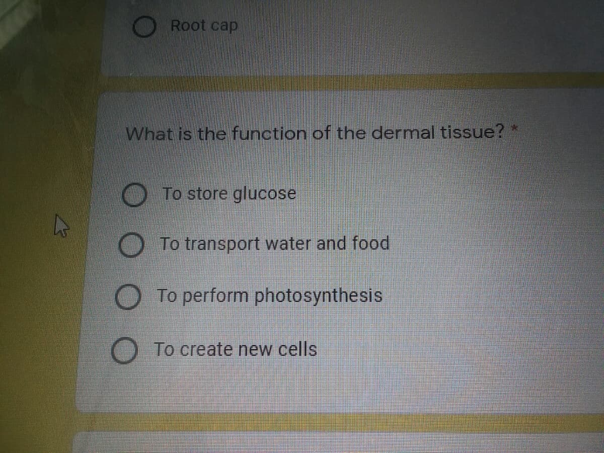 Root cap
What is the function of the dermal tissue? *
To store glucose
To transport water and food
To perform photosynthesis
To create new ells
