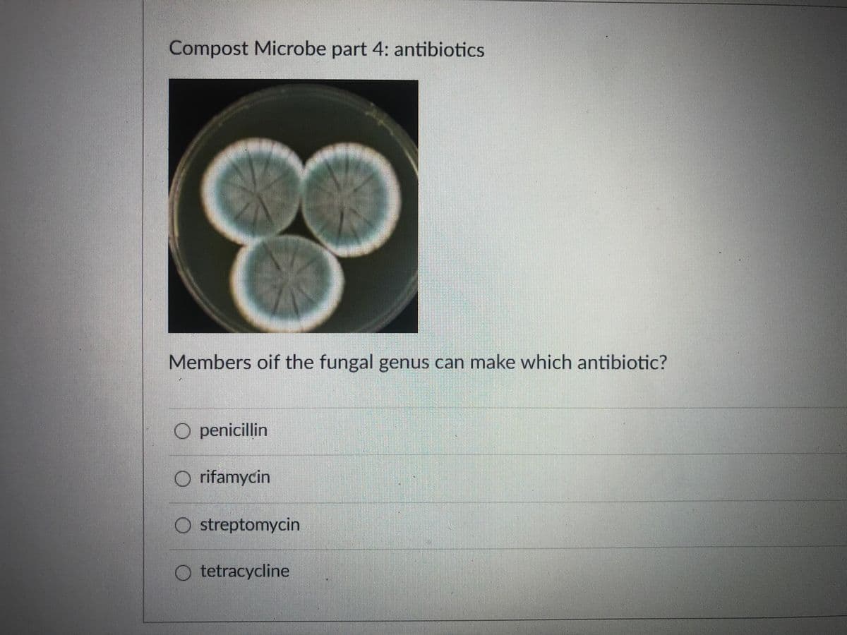 Compost Microbe part 4: antibiotics
Members oif the fungal genus can make which antibiotic?
O penicillin
O rifamycin
O streptomycin
O tetracycline
