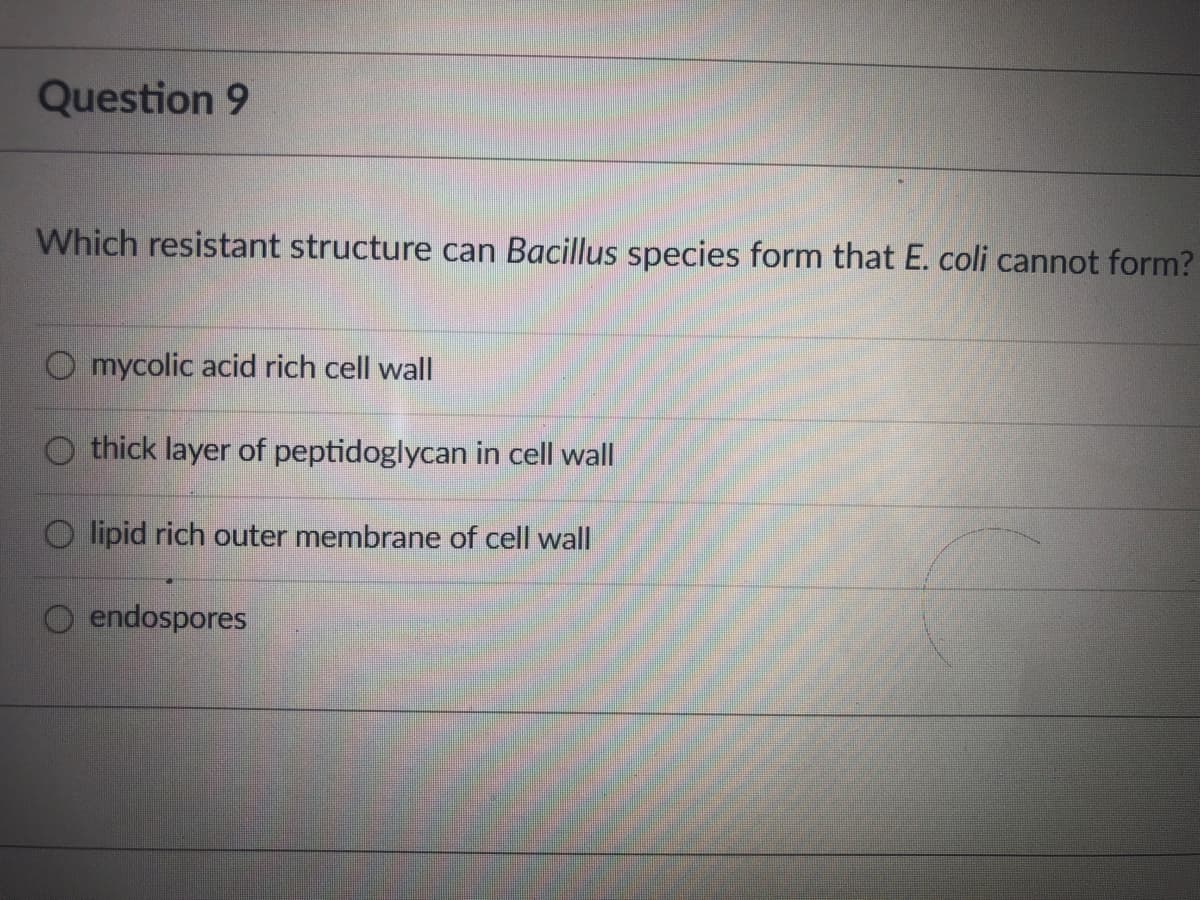 Question 9
Which resistant structure can Bacillus species form that E. coli cannot form?
O mycolic acid rich cell wal|
O thick layer of peptidoglycan in cell wall
O lipid rich outer membrane of cell wall
endospores
