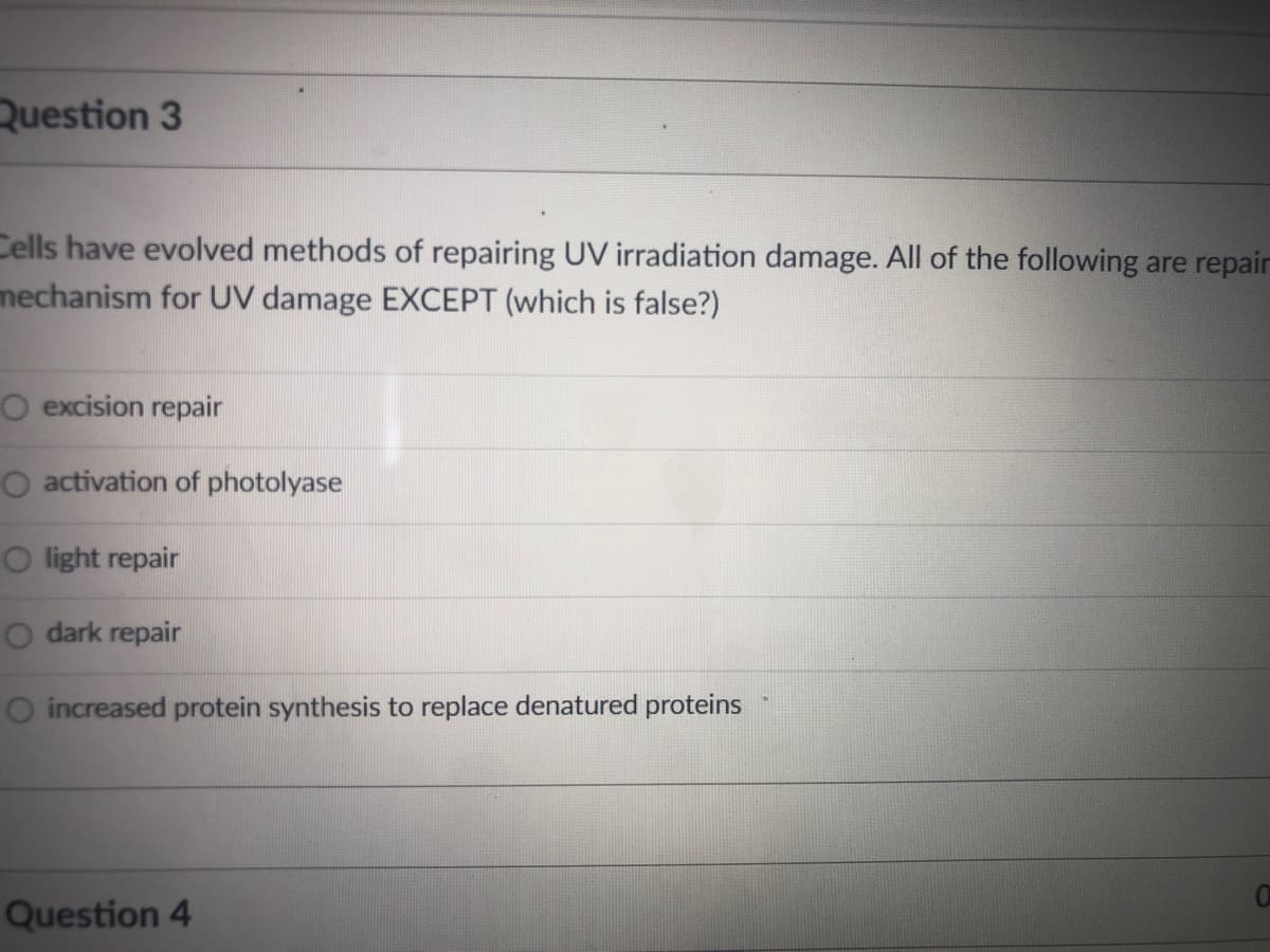 Question 3
Cells have evolved methods of repairing UV irradiation damage. All of the following are repair
mechanism for UV damage EXCEPT (which is false?)
O excision repair
O activation of photolyase
O light repair
O dark repair
O increased protein synthesis to replace denatured proteins
Question 4
