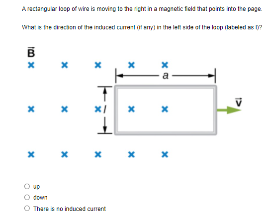 A rectangular loop of wire is moving to the right in a magnetic field that points into the page.
What is the direction of the induced current (if any) in the left side of the loop (labeled as 1)?
B
a
up
down
O There is no induced current
O O O
