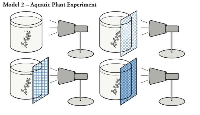 Model 2 – Aquatic Plant Experiment
