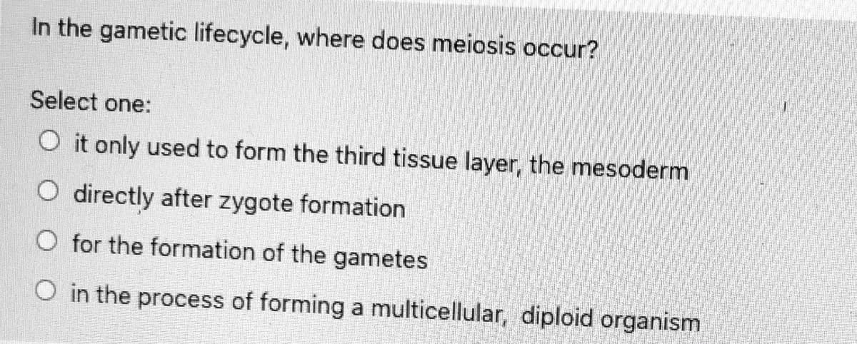 In the gametic lifecycle, where does meiosis occur?
Select one:
O it only used to form the third tissue layer, the mesoderm
O directly after zygote formation
O for the formation of the gametes
O in the process of forming a multicellular, diploid organism
