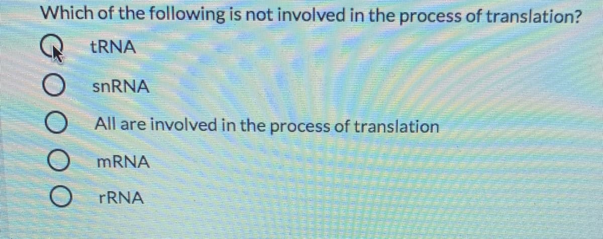 Which of the following is not involved in the process of translation?
tRNA
snRNA
All are involved in the process of translation
MRNA
rRNA
GO

