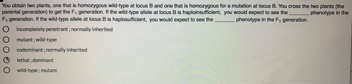 You obtain two plants, one that is homozygous wild-type at locus B and one that is homozygous for a mutation at locus B. You cross the two plants (the
parental generation) to get the F, generation. If the wild-type allele at locus B is haploinsufficient, you would expect to see the
F, generation. If the wild-type allele at locus B is haplosufficient, you would expect to see the
phenotype in the
phenotype in the F, generation.
incompletely penetrant ; normally inherited
mutant; wild-type
codominant; normally inherited
lethal; dominant
wild-type; mutant
O 00 O O
