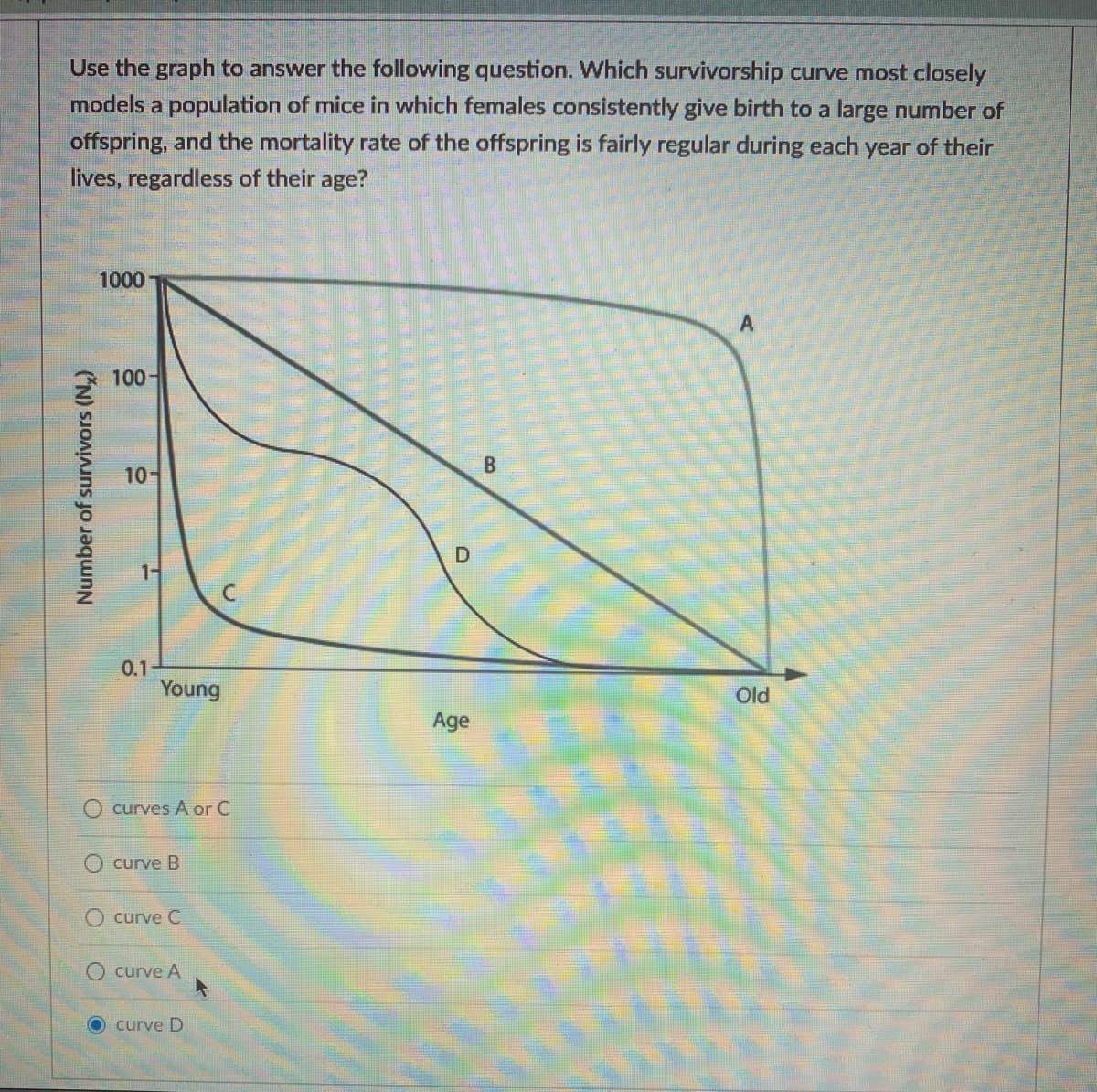 Use the graph to answer the following question. Which survivorship curve most closely
models a population of mice in which females consistently give birth to a large number of
offspring, and the mortality rate of the offspring is fairly regular during each year of their
lives, regardless of their age?
1000
100-
B
10-
1-
0.1
Young
Old
Age
curves A or C
curve B
curve C
curve A
curve D
LGO
D.
Number of survivors (N.)
