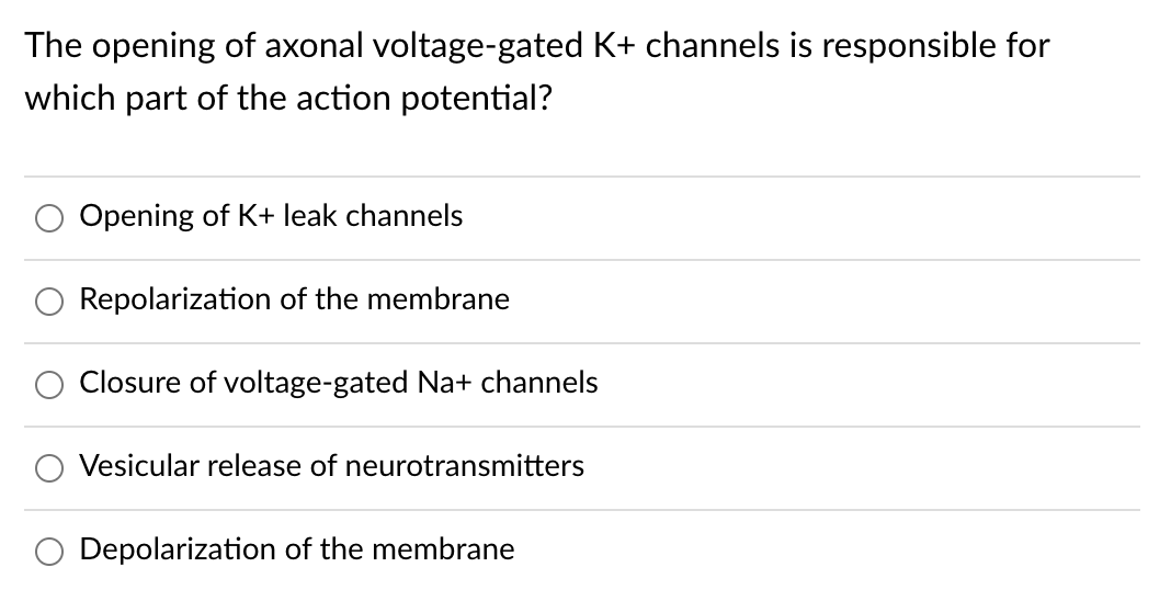The opening of axonal voltage-gated K+ channels is responsible for
which part of the action potential?
O Opening of K+ leak channels
Repolarization of the membrane
Closure of voltage-gated Na+ channels
Vesicular release of neurotransmitters
O Depolarization of the membrane
