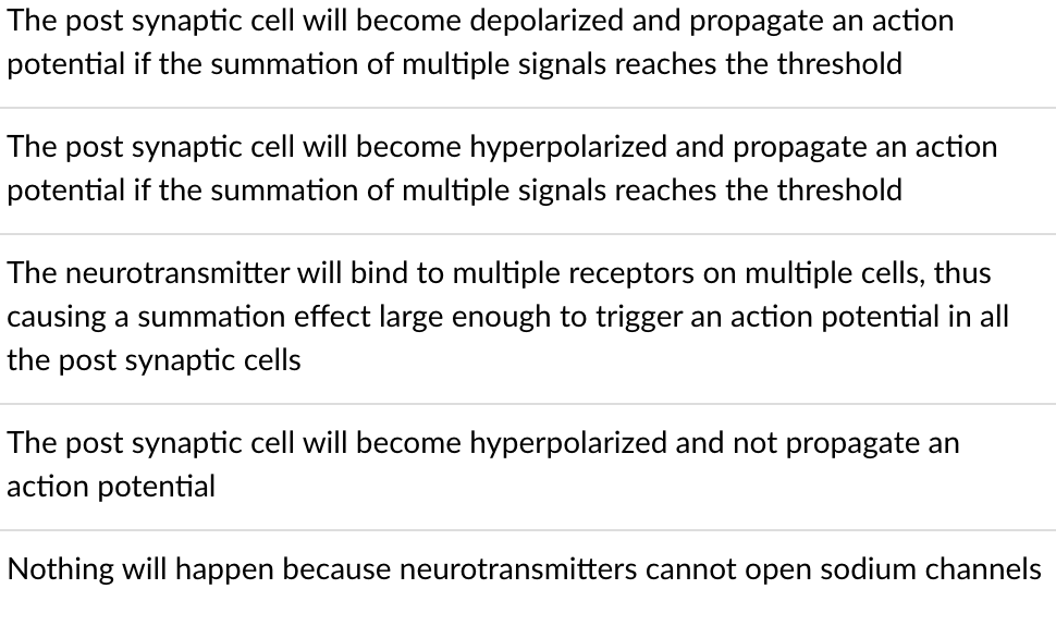 The post synaptic cell will become depolarized and propagate an action
potential if the summation of multiple signals reaches the threshold
The post synaptic cell will become hyperpolarized and propagate an action
potential if the summation of multiple signals reaches the threshold
The neurotransmitter will bind to multiple receptors on multiple cells, thus
causing a summation effect large enough to trigger an action potential in all
the post synaptic cells
The post synaptic cell will become hyperpolarized and not propagate an
action potential
Nothing will happen because neurotransmitters cannot open sodium channels
