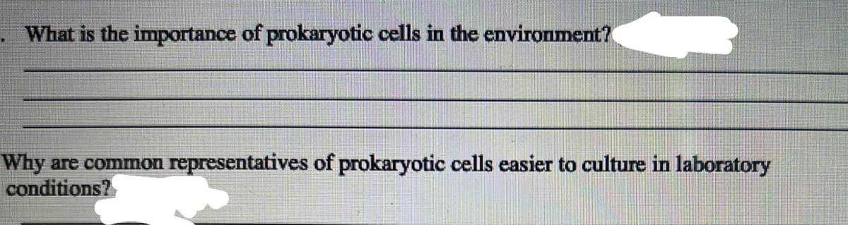 What is the importance of prokaryotic cells in the environment?
Why are common representatives of prokaryotic cells easier to culture in laboratory
conditions?