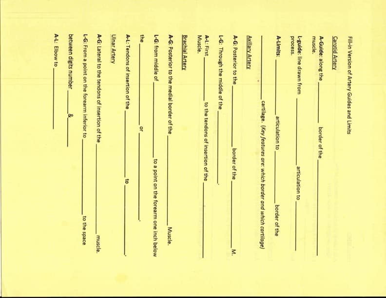 Fill-in Version of Artery Guides and Limits
Carotid Artery
A-Guide: along the
border of the
muscle.
L-guide: line drawn from
articulation to
process.
A-Limits:
articulation to
border of the
cartilage. (Key features are: which border and which cartilage)
Axillary Artery
A-G: Posterior to the
border of the
М.
L-G: Through the middle of the
A-L: First
to the tendons of insertion of the
Muscle.
Brachial Artery
A-G: Posterior to the medial border of the.
Muscle.
L-G: from middle of_
to a point on the forearm one inch below
the
or
A-L: Tendons of insertion of the
Ulnar Artery
A-G: Lateral to the tendons of insertion of the.
muscle.
L-G: From a point on the forearm inferior to
to the space
between digits number,
A-L: Elbow to
