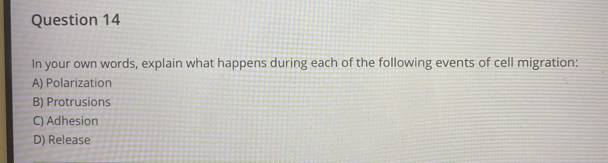 Question 14
In your own words, explain what happens during each of the following events of cell migration:
A) Polarization
B) Protrusions
C) Adhesion
D) Release
