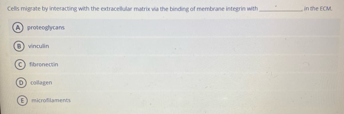 Cells migrate by interacting with the extracellular matrix via the binding of membrane integrin with
in the ECM.
proteoglycans
vinculin
fibronectin
collagen
microfilaments
