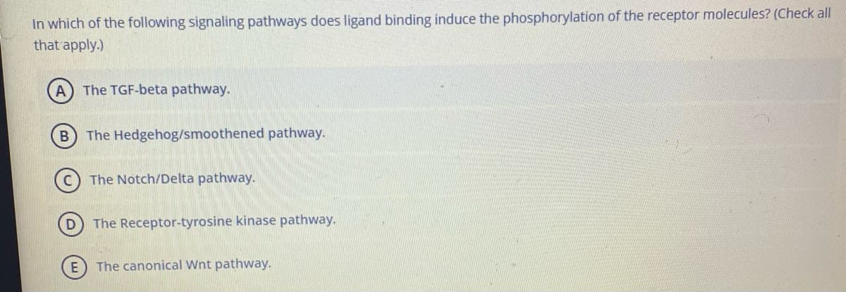 In which of the following signaling pathways does ligand binding induce the phosphorylation of the receptor molecules? (Check all
that apply.)
The TGF-beta pathway.
The Hedgehog/smoothened pathway.
The Notch/Delta pathway.
The Receptor-tyrosine kinase pathway.
The canonical Wnt pathway.
