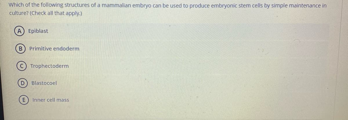 Which of the following structures of a mammalian embryo can be used to produce embryonic stem cells by simple maintenance in
culture? (Check all that apply.)
A Epiblast
Primitive endoderm
Trophectoderm
Blastocoel
Inner cell mass
