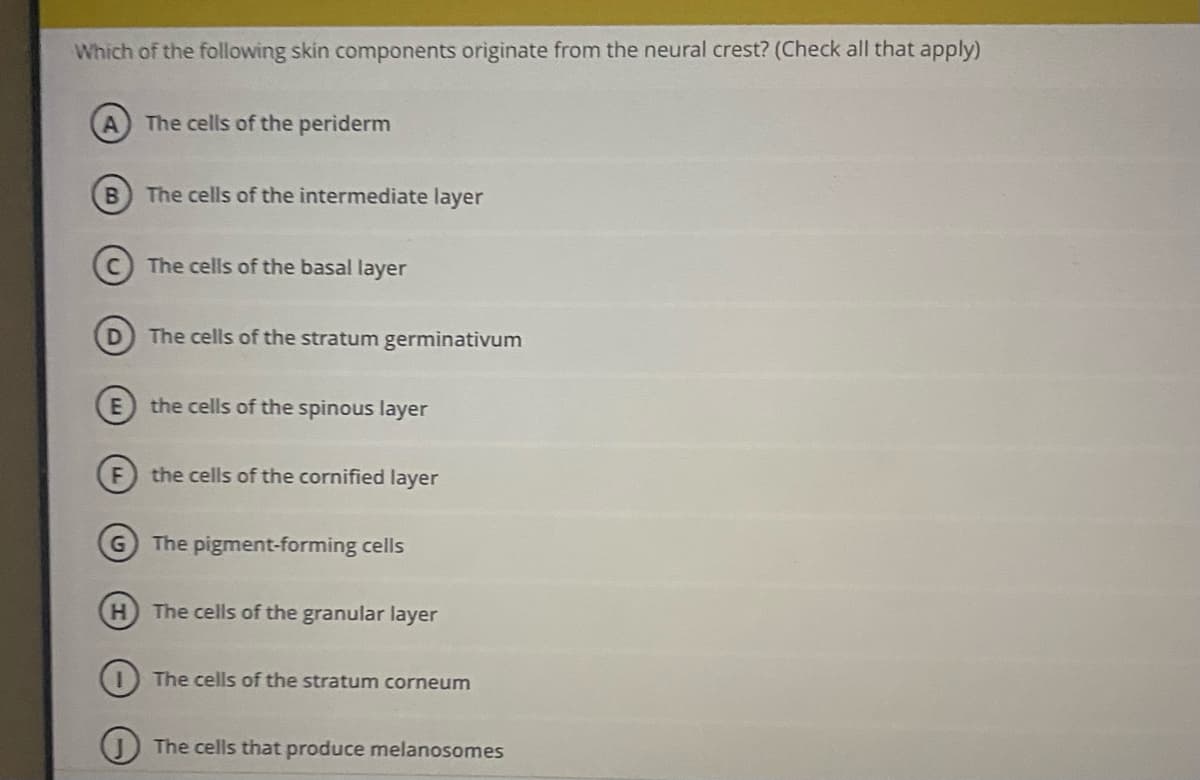 Which of the following skin components originate from the neural crest? (Check all that apply)
The cells of the periderm
The cells of the intermediate layer
The cells of the basal layer
The cells of the stratum germinativum
the cells of the spinous layer
the cells of the cornified layer
G The pigment-forming cells
H The cells of the granular layer
O The cells of the stratum corneum
OThe cells that produce melanosomes
