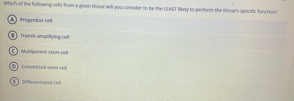 Which of the following cells from a given tissue will you consider to be the LEAST likely to perform the tissue's specific function?
Progenitor cell
Transit-amplifying cell
Multipotent stem cell
Committed stem cell
Differentiated cell
