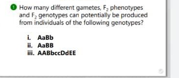 How many different gametes, F, phenotypes
and F, genotypes can potentially be produced
from individuals of the following genotypes?
i. AaBb
ii. AABB
ii. AABbccDdEE
