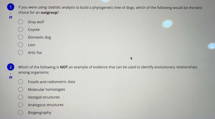 If you were using cladistic analysis to build a phylogenetic tree of dogs, which of the following would be the best
choice for an outgroup?
1
1.
Gray wolf
O Coyote
Domestic dog
O Lion
O Artic fox
Which of the following is NOT an example of evidence that can be used to identify evolutionary relationships
among organisms:
Fossils and radiometric data
Molecular homologies
Vestigial structures
Analogous structures
O Biogeography
