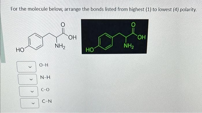 For the molecule below, arrange the bonds listed from highest (1) to lowest (4) polarity.
НО
<
<
>
О-Н
N-H
С-0
C-N
NH₂
ОН
HO
NH₂
OH