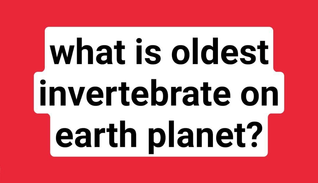 what is oldest
invertebrate on
earth planet?
