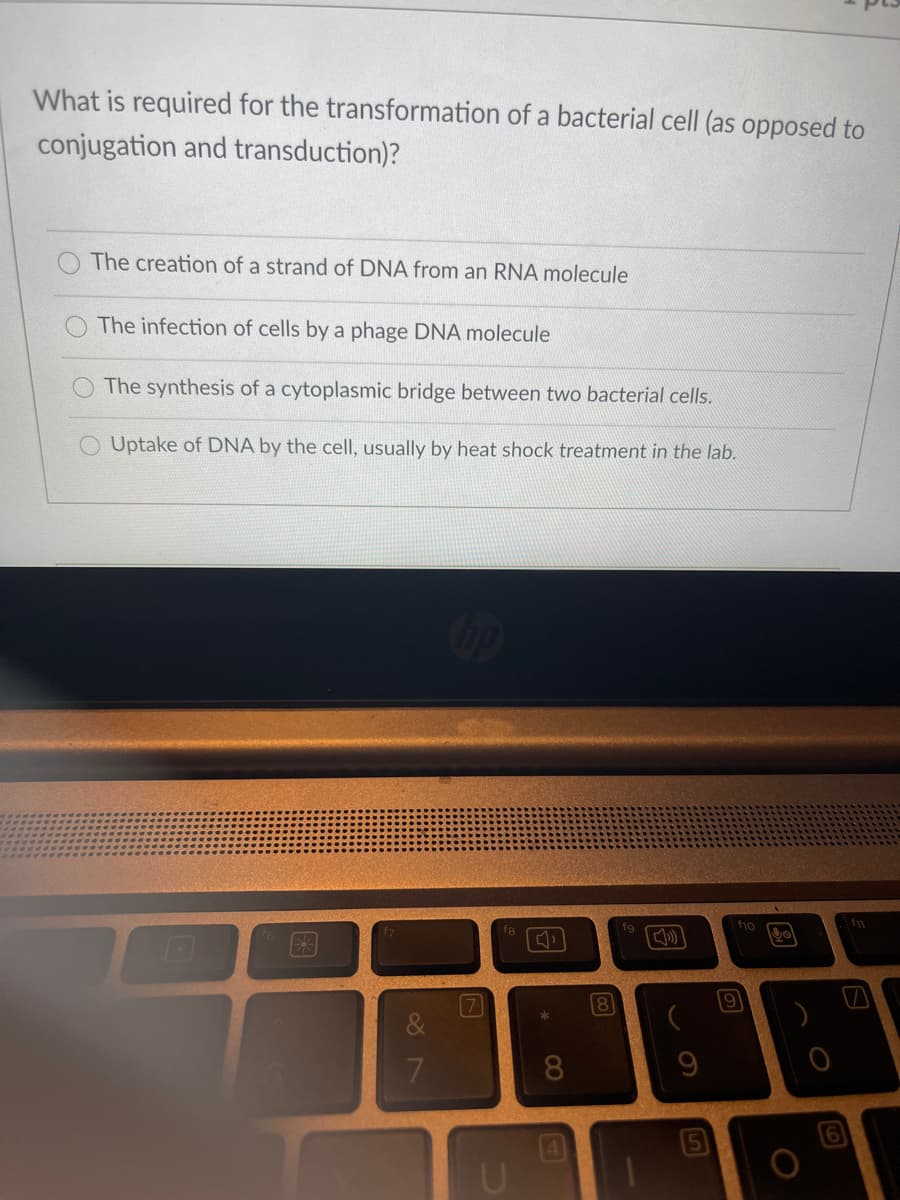 What is required for the transformation of a bacterial cell (as opposed to
conjugation and transduction)?
The creation of a strand of DNA from an RNA molecule
The infection of cells by a phage DNA molecule
The synthesis of a cytoplasmic bridge between two bacterial cells.
O Uptake of DNA by the cell, usually by heat shock treatment in the lab.
fg
f1o
7
7.
8
