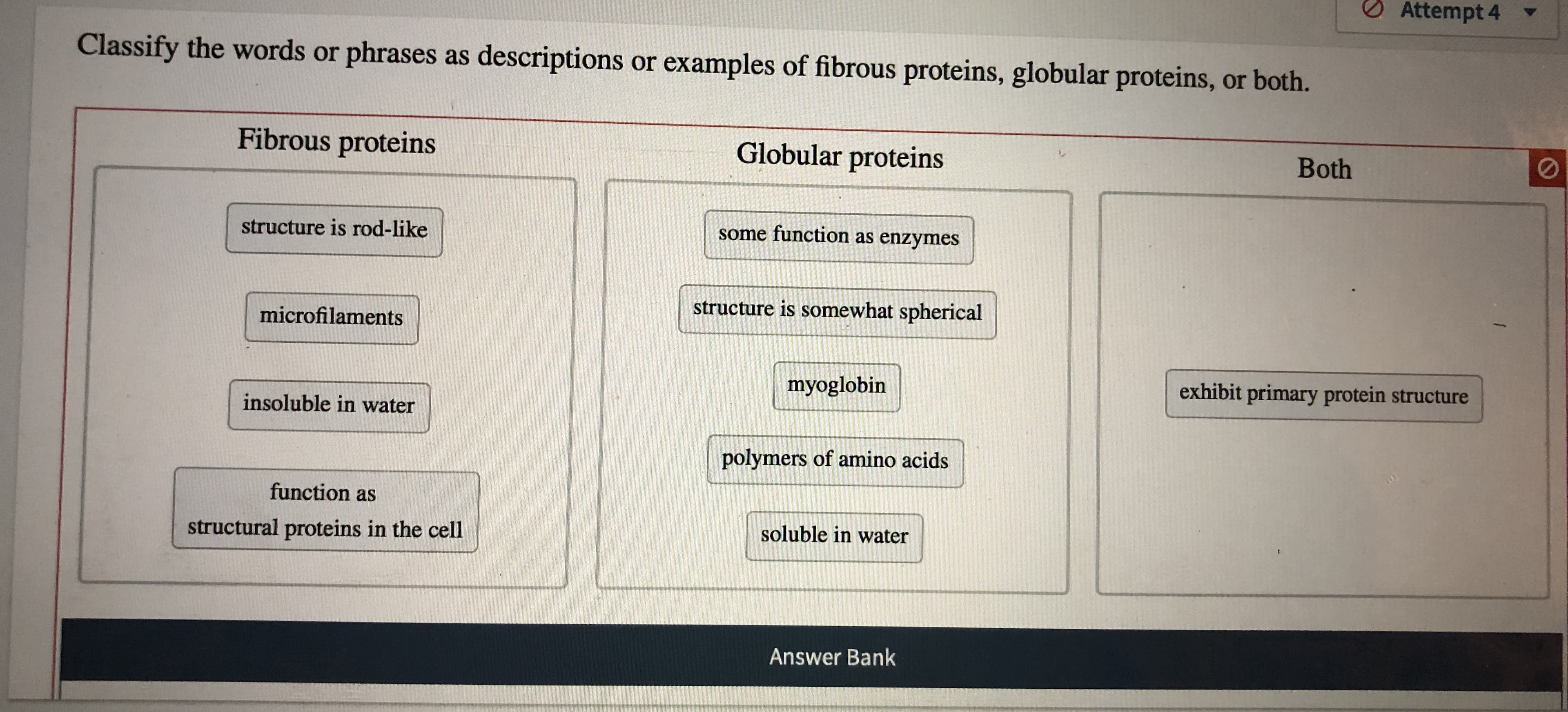 Attempt 4
Classify the words or phrases as descriptions or examples of fibrous proteins, globular proteins, or both.
Fibrous proteins
Globular proteins
Both
some function as enzymes
structure is rod-like
structure is somewhat spherical
microfilaments
exhibit primary protein structure
myoglobin
insoluble in water
polymers of amino acids
function as
soluble in water
structural proteins in the cel1
Answer Bank
