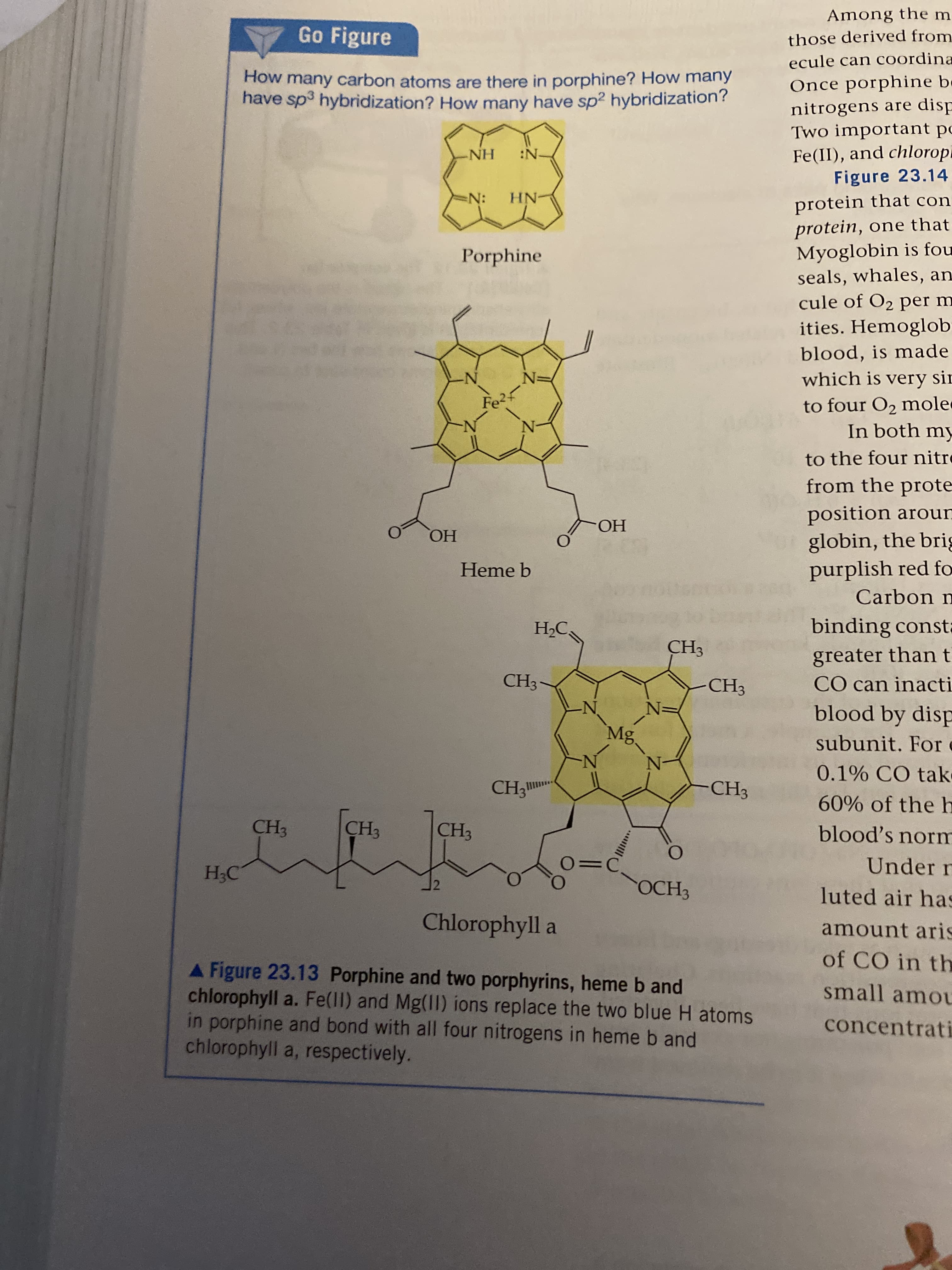 Among them
Go Figure
those derived from
ecule can coordina
How many carbon atoms are there in porphine? How many
have sp hybridization? How many have sp2 hybridization?
Once porphine be
nitrogens are disp
Two important po
ENH IN-
Fe(II), and chloropi
Figure 23.14
protein that con
protein, one that
Myoglobin is fou
seals, whales, an
cule of O2 per m
ities. Hemoglob
N:
HN-
Porphine
blood, is made
which is very sin
to four O2 mole
In both my
FeRF
to the four nitre
from the prote
position aroun
globin, the brig
purplish red fo
HO.
ОН
Heme b
Carbon n
Н С,
binding consta
CHз
greater than t
CH3-
CH3
CO can inacti
N'
blood by disp
Mg.
subunit. For
N-
0.1% CO tak
CH3
CH3
CH3
60% of the h
CH3
CH3
blood's norm
Under r
НС
ОС3З
luted air has
Chlorophyll a
amount aris
of CO in th
A Figure 23.13 Porphine and two porphyrins, heme b and
chlorophyll a. Fe(ll) and Mg(I1) ions replace the two blue H atoms
in porphine and bond with all four nitrogens in heme b and
chlorophyll a, respectively.
small amou
concentrati
|
