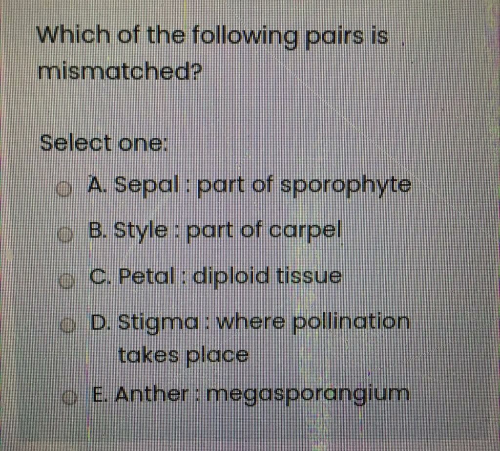 Which of the following pairs is
mismatched?
Select one:
o A. Sepal: poart of sporophyte
O B. Style : part of carpel
o C. Petal: diploid tissue
o D. Stigma: where pollination
takes place
o E. Anther: megasporangium
