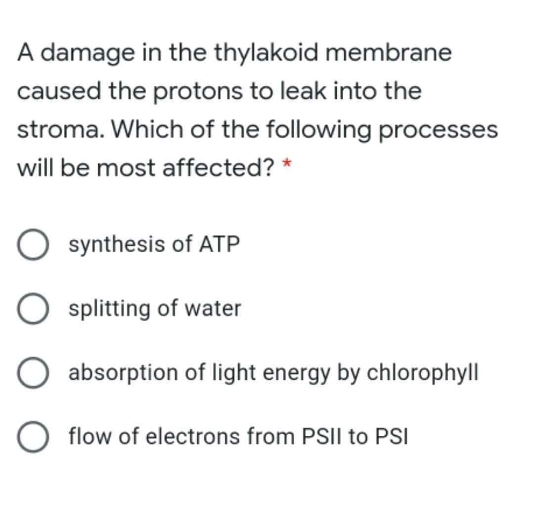 A damage in the thylakoid membrane
caused the protons to leak into the
stroma. Which of the following processes
will be most affected? *
synthesis of ATP
splitting of water
absorption of light energy by chlorophyll
flow of electrons from PSII to PSI
