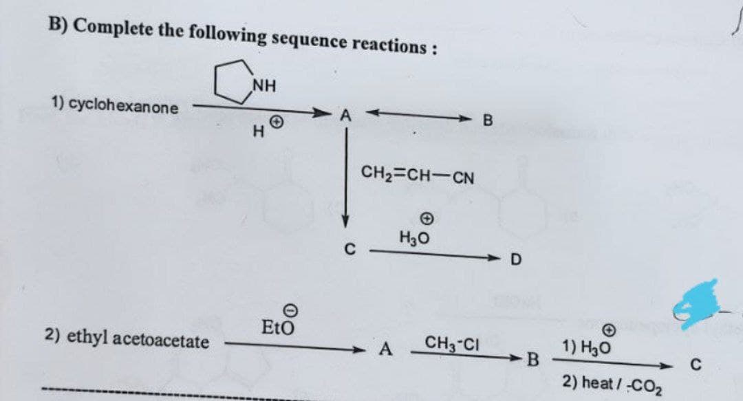 B) Complete the following sequence reactions :
NH
1) cyclohexanone
2) ethyl acetoacetate
H
EtO
C
CH₂=CH-CN
H₂O
CH3-CI
B
D
B
1) H30
2) heat/-CO₂
с