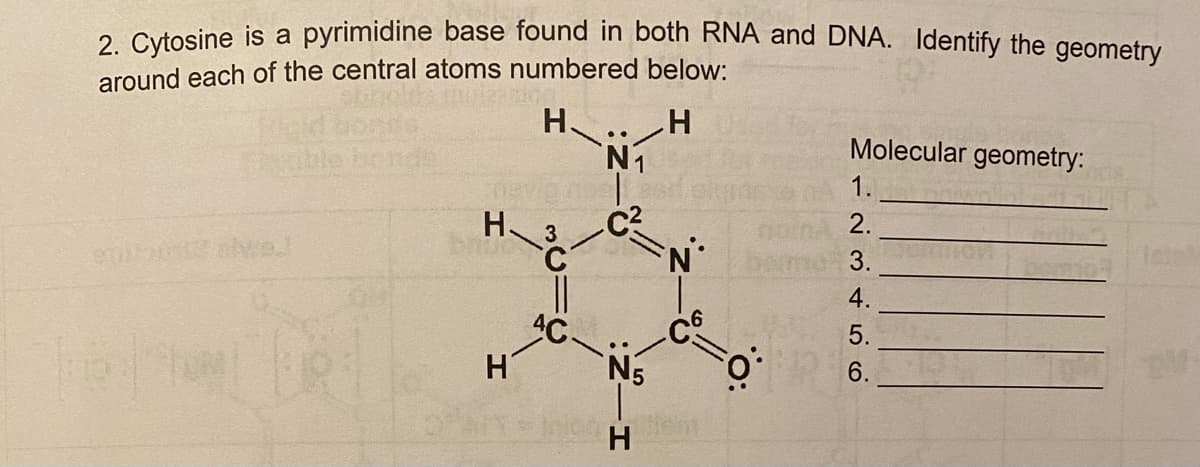 2. Cytosine is a pyrimidine base found in both RNA and DNA. Identify the geometry
around each of the central atoms numbered below:
H.
N.
Molecular geometry:
1.
H.
C2
2.
3
3.
feel
4.
5.
H'
6.
H
