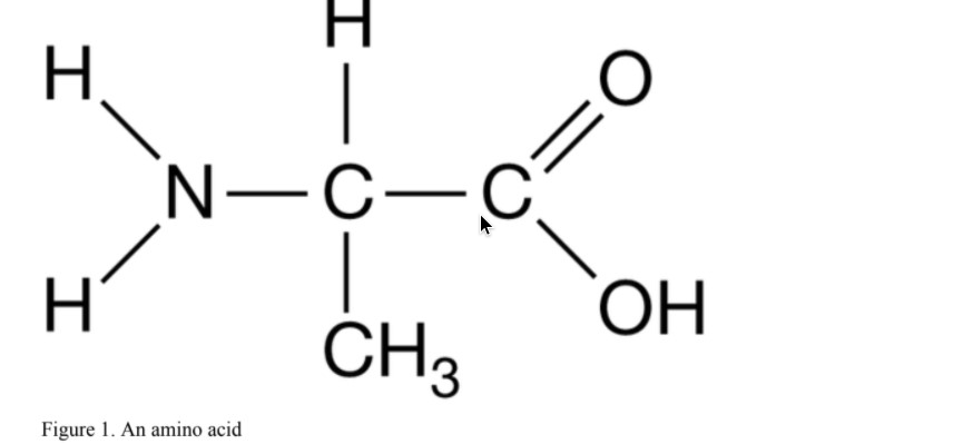 H,
=0
N-C-C
H
ČH3
ОН
Figure 1. An amino acid
HI
