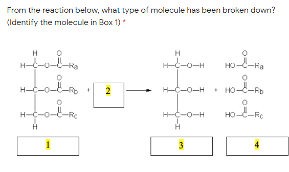 From the reaction below, what type of molecule has been broken down?
(Identify the molecule in Box 1) *
H
H
H--o-
H-C-0-H
HO-C-Ra
2
H-C-0-H
но-
Rb
H-C-0-H
HO-R.
H-
но-
-Rc
1
3
4
