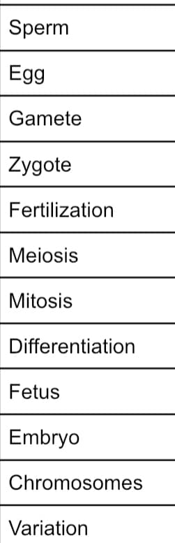 Sperm
Egg
Gamete
Zygote
Fertilization
Meiosis
Mitosis
Differentiation
Fetus
Embryo
Chromosomes
Variation
