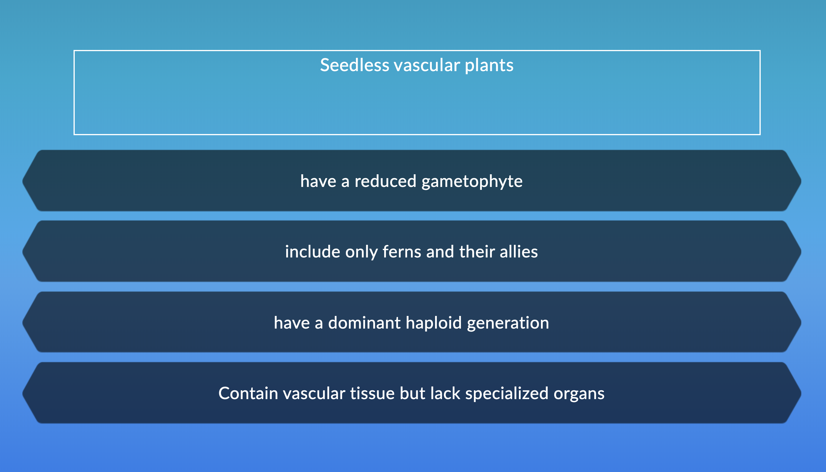 Seedless vascular plants
have a reduced gametophyte
include only ferns and their allies
have a dominant haploid generation
Contain vascular tissue but lack specialized organs
