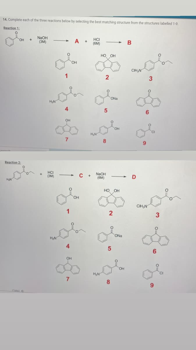 14. Complete each of the three reactions below by selecting the best matching structure from the structures labelled 1-9.
Reaction 1:
SOH
Reaction 2:
H₂N
(1pts) C:
NaOH
(3М)
H₂N
HCI
(3М)
H₂N
0
1
4
OH
7
1
А
OH
OH
7
— C +
+
OH
HCI
(6M)
H₂N
НО OH
H₂N
5
8
NaOH
(6M)
ONa
HO OH
2
5
OH
8
ONa
ОН
В
CIH N
D
6
9
3
CIH N
3
6
9
CI