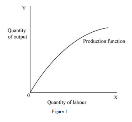 Y
Quantity
of output
Production function
Quantity of labour
Figure
