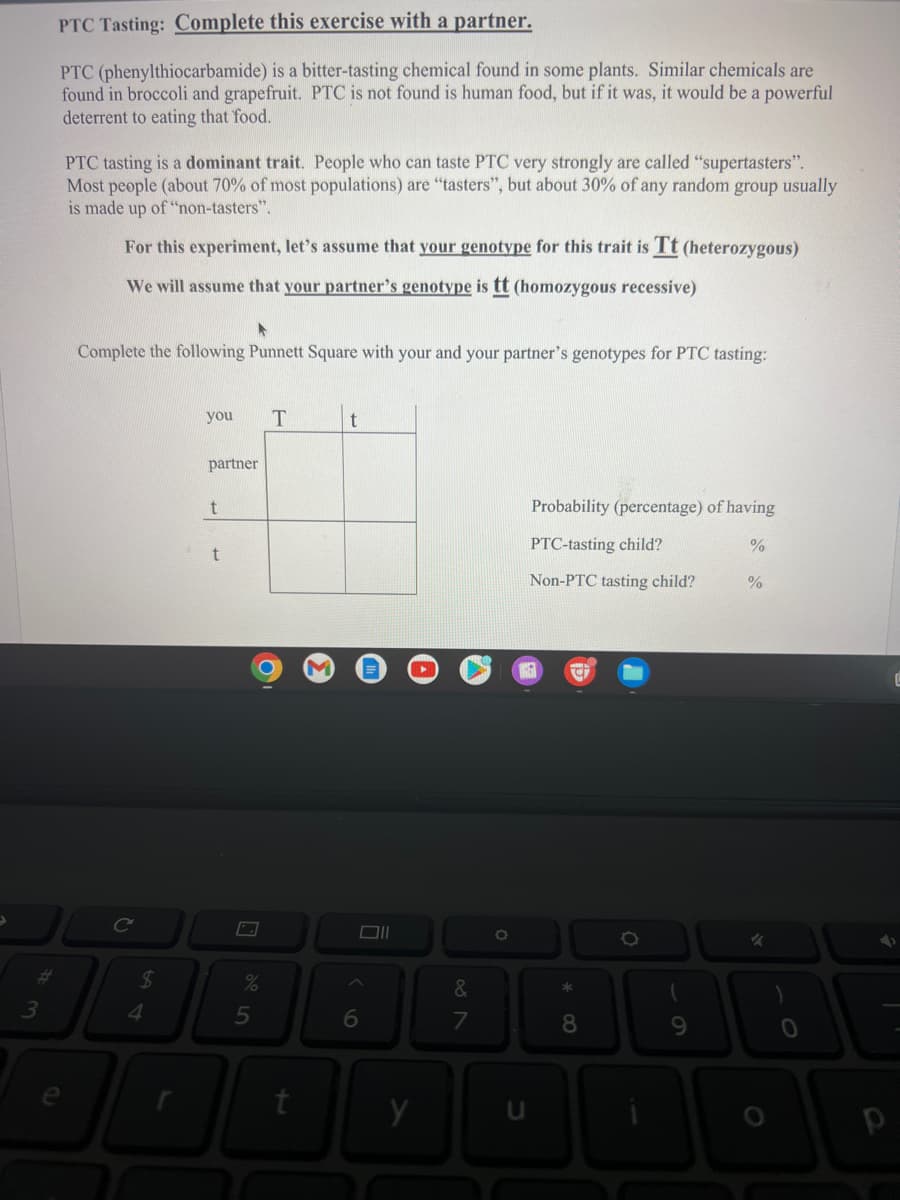 3
PTC Tasting: Complete this exercise with a partner.
PTC (phenylthiocarbamide) is a bitter-tasting chemical found in some plants. Similar chemicals are
found in broccoli and grapefruit. PTC is not found is human food, but if it was, it would be a powerful
deterrent to eating that food.
PTC tasting is a dominant trait. People who can taste PTC very strongly are called "supertasters".
Most people (about 70% of most populations) are "tasters", but about 30% of any random group usually
is made up of "non-tasters".
For this experiment, let's assume that your genotype for this trait is Tt (heterozygous)
We will assume that your partner's genotype is tt (homozygous recessive)
Complete the following Punnett Square with your and your partner's genotypes for PTC tasting:
$
4
you
partner
t
t
%
5
T
t
t
Oll
6
y
&
7
O
Probability (percentage) of having
PTC-tasting child?
Non-PTC tasting child?
*80
O
9
%
%
✓
0
4