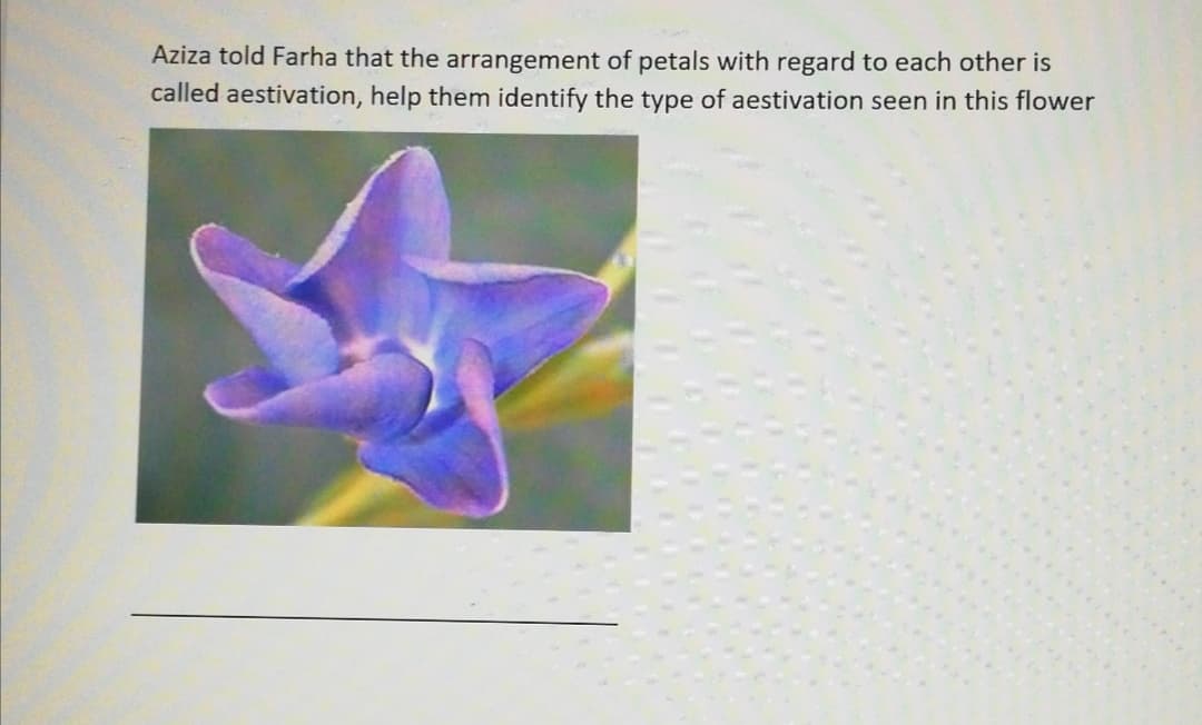 Aziza told Farha that the arrangement of petals with regard to each other is
called aestivation, help them identify the type of aestivation seen in this flower
