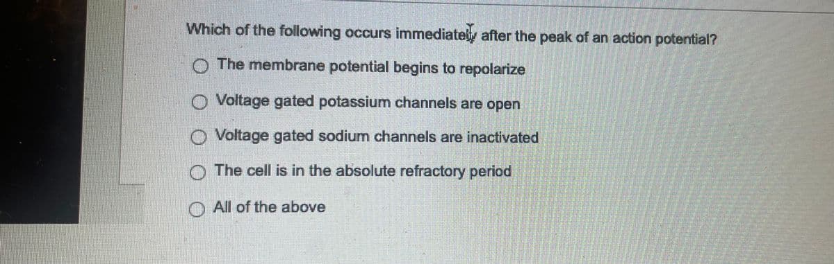 Which of the following occurs immediately after the peak of an action potential?
The membrane potential begins to repolarize
O Voltage gated potassium channels are open
Ⓒ Voltage gated sodium channels are inactivated
The cell is in the absolute refractory period
All of the above