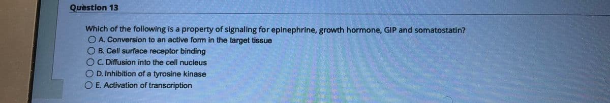 Question 13
Which of the following is a property of signaling for epinephrine, growth hormone, GIP and somatostatin?
A. Conversion to an active form in the target tissue
OB. Cell surface receptor binding
OC. Diffusion into the cell nucleus
OD. Inhibition of a tyrosine kinase
O E. Activation of transcription