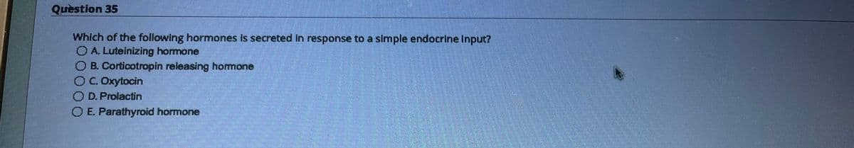 Question 35
Which of the following hormones is secreted in response to a simple endocrine input?
O A. Luteinizing hormone
B. Corticotropin releasing hormone
O C. Oxytocin
OD. Prolactin
E. Parathyroid hormone