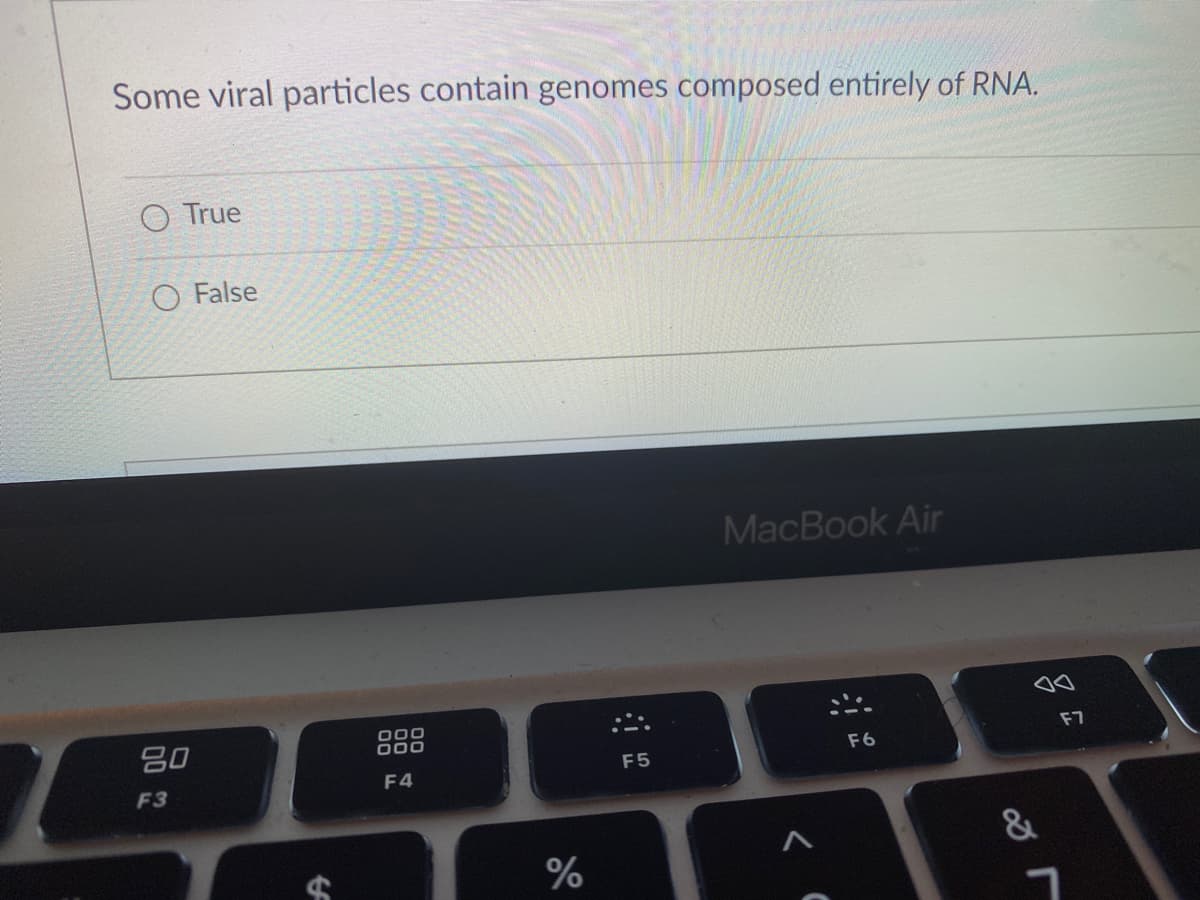 Some viral particles contain genomes composed entirely of RNA.
O True
O False
MacBook Air
80
000
F6
F7
F3
F4
F5
&
