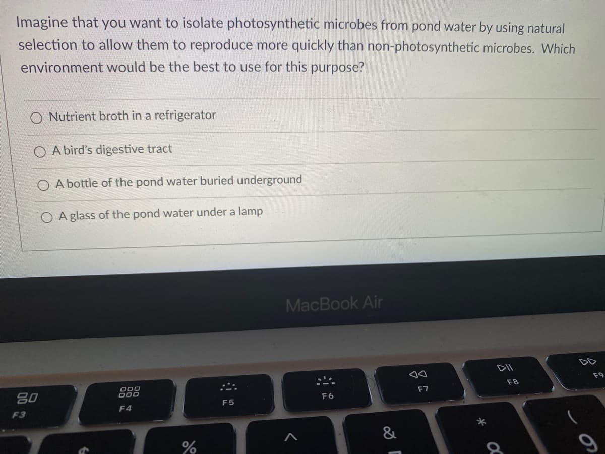 Imagine that you want to isolate photosynthetic microbes from pond water by using natural
selection to allow them to reproduce more quickly than non-photosynthetic microbes. Which
environment would be the best to use for this purpose?
O Nutrient broth in a refrigerator
O A bird's digestive tract
A bottle of the pond water buried underground
A glass of the pond water under a lamp
MacBook Air
DD
DII
80
000
000
F9
F8
F7
F5
F6
F3
F4
&
%
