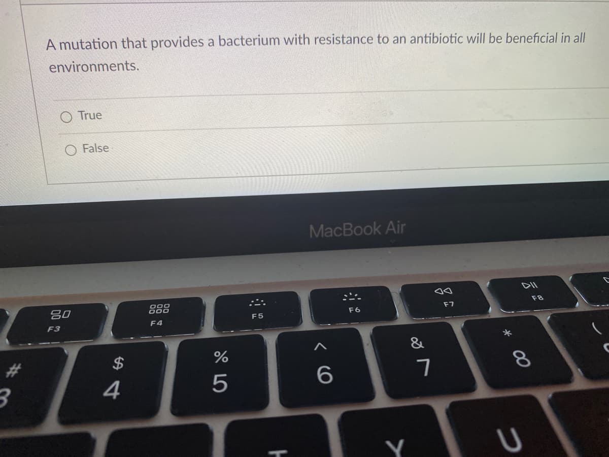 A mutation that provides a bacterium with resistance to an antibiotic will be beneficial in all
environments.
True
False
MacBook Air
000
吕0
F8
F7
F6
F5
F4
F3
&
23
$
4
Y

